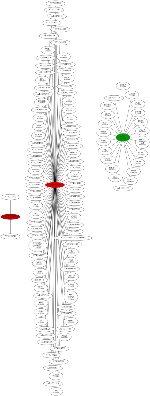 filename.txt example fishing examplemanual