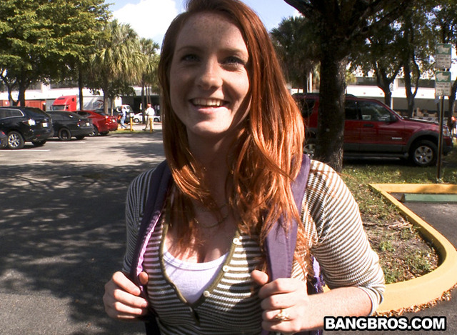 Lindsey Springer porn pics lindsey bangbus springer