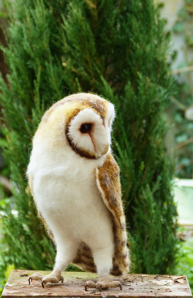 Natasha Love xxx love barn owl bbarn