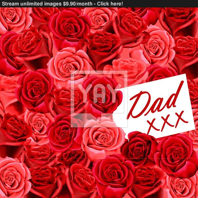 Red Rose xxx xxx wallpaper photo red dad web roses card design