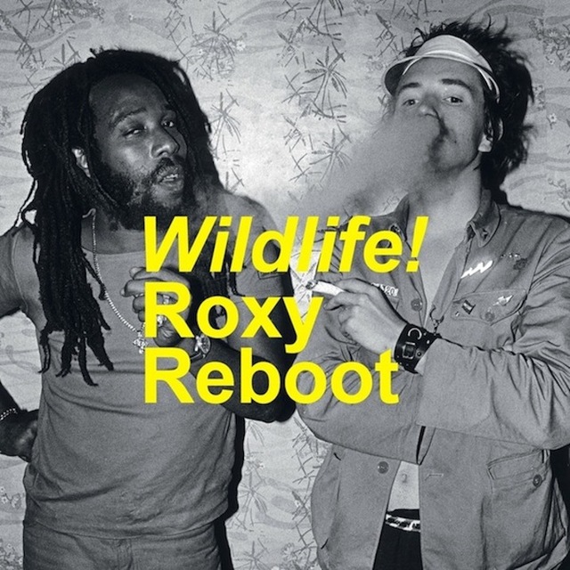 Roxy K sex roxy news punk future ward pistols reboot reggae dancehall wildlife remake