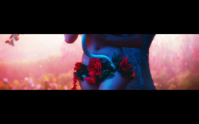 Lana Rose xxx film screen shot muse tropico