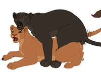 Black Panther sex data show black panther disney feline female feral kisu lion