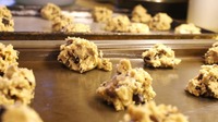 Cookie Dough sex albums hcillinoisstate raw chocolate chip cookie dough baking sheets school illinois state food porn christines cookies