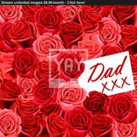 Red Rose xxx photo dad xxx card wallpaper red roses web design