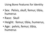 Bony White sex using bone features identity slide