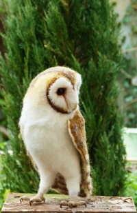 Natasha Love xxx bbarn barn owl love