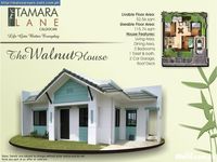 Lourdes Lane xxx ced classifieds house lot caloocan along gen luis tamara lane filinvest