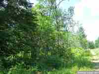 Daisy Lane xxx mls photo