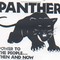 Black Panther Sex